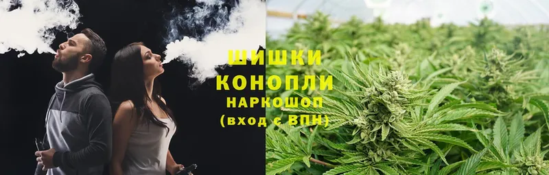 shop наркотические препараты  Куровское  Каннабис Ganja 